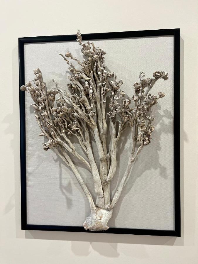Apartamenty Kamienica Arte 4 อุสตกา ภายนอก รูปภาพ